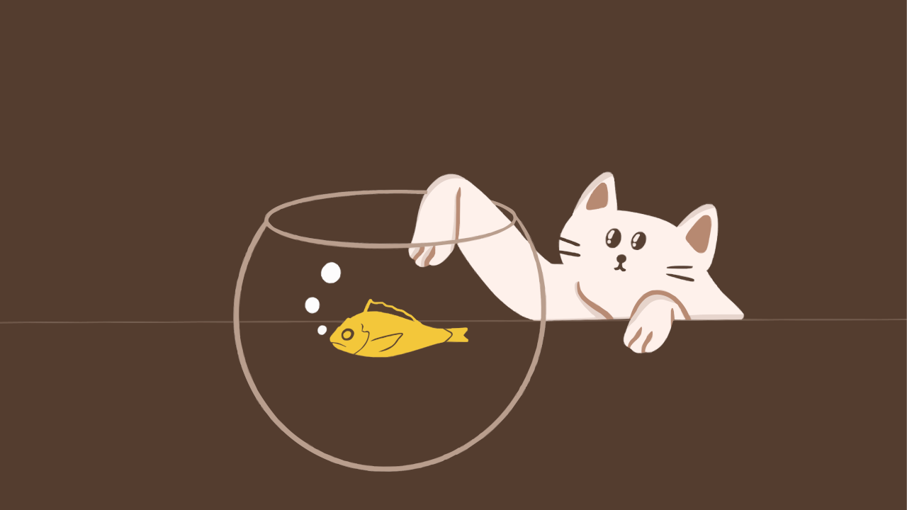 Что важнее - экономить или зарабатывать больше?