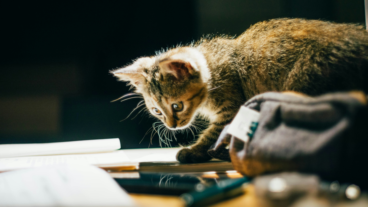 Как начать отслеживать деньги без стресса