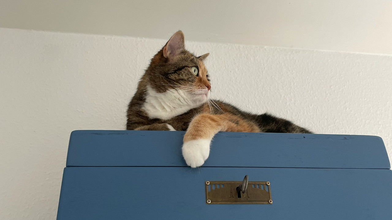 3 уровня контроля над личными финансами