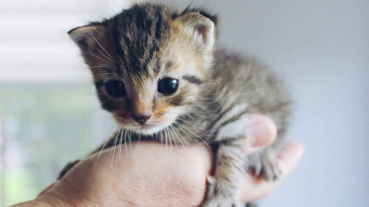 Детские расходы: как учитывать и планировать